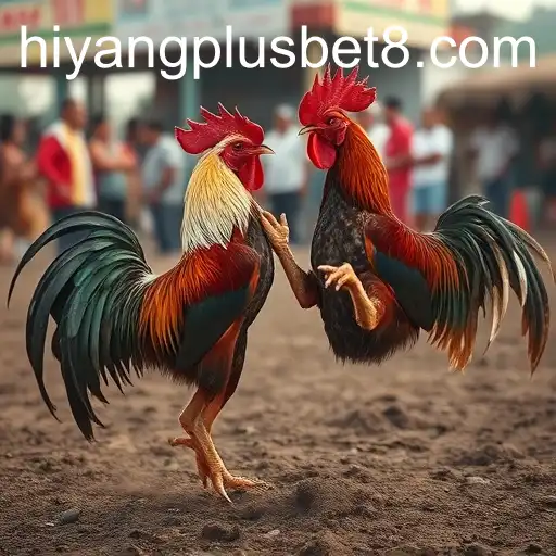Examining the Legacy of Cockfighting and the Culture of Hiyang Plus Casino